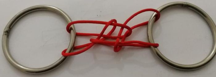 Aaron Wang Loops